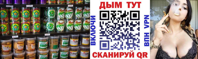 Canna-Cookies марихуана  Сланцы 