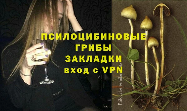 марки lsd Богородицк